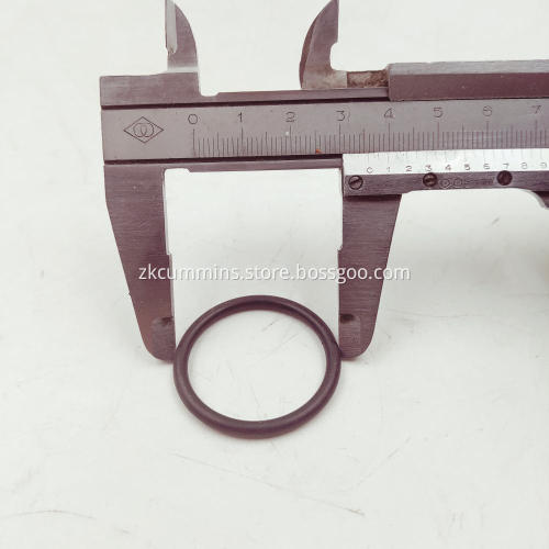 3201585 Cummins O Ring Seal
